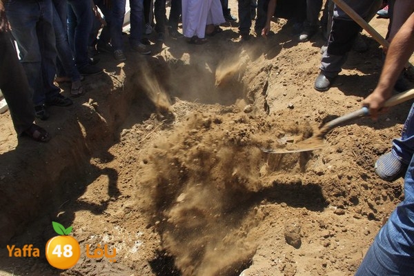 jaanzaa 0501 (47).JPG